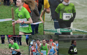 (Résultats) Régionaux cross - St Laurent/Sèvre - 26/01/25