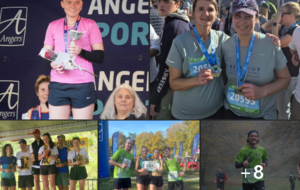 Courses du weekend - 08&amp;09/11/25